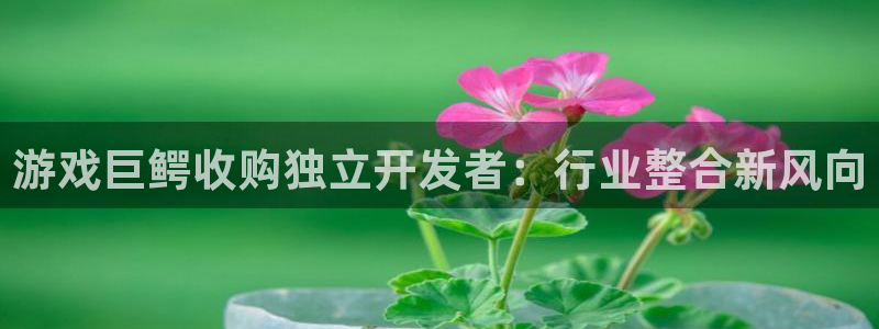 新航娱乐扣费是什么费用啊怎么退