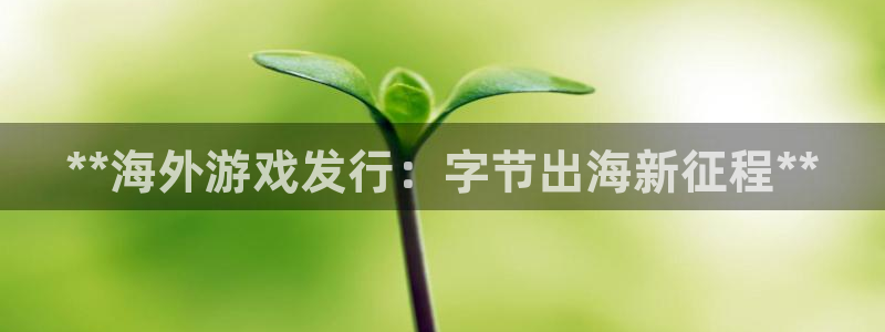 新航娱乐公司简介和历史背景怎么写