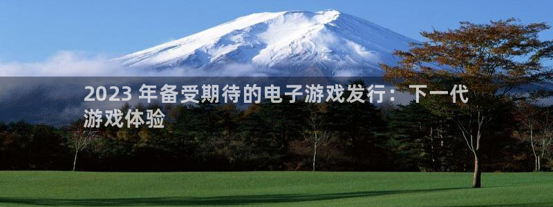 新航娱乐app手机版官网