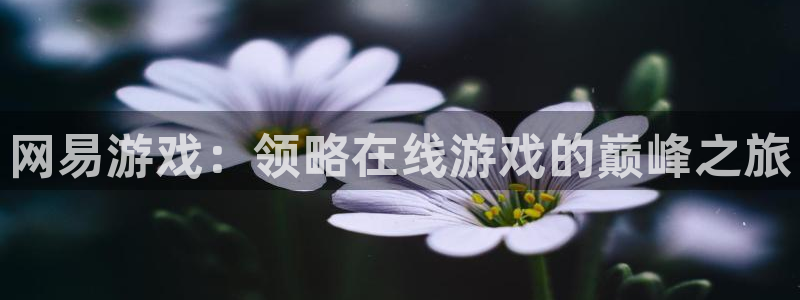 新航娱乐的会员权益与保障：网易游戏：领略在线游戏的巅峰之旅
