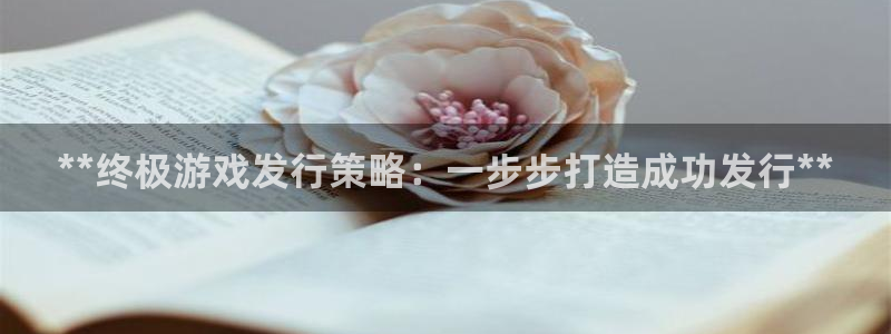 新航娱乐入.新航娱乐.几年了.长久.中国：**终极游戏发行策略：一步步打造成功发行**
