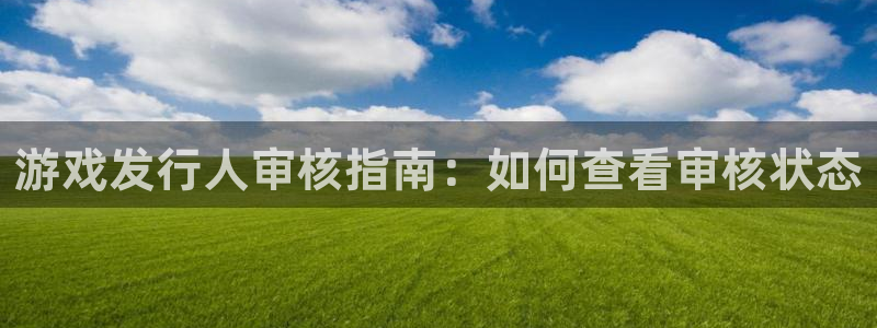 新航娱乐平台登录蒋渭水：游戏发行人审核指南：如何查看审核状态