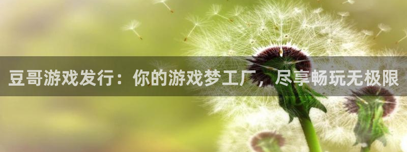 新航娱乐的最新版本更新内容：豆哥游戏发行：你的游戏梦工厂，尽享畅玩无极限