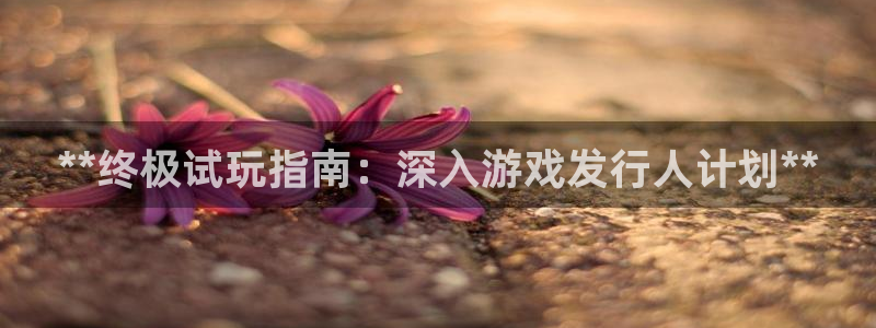 新航娱乐公司旗下艺人都有谁：**终极试玩指南：深入游戏发行人计划**