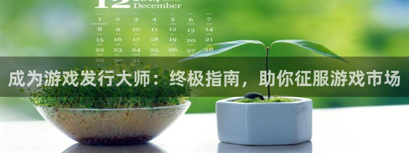 新航娱乐扣款后还能重新扣吗：成为游戏发行大师：终极指南，助你征服游戏市场