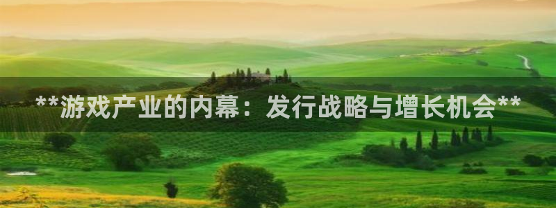 新航娱乐雀7IIII2联他是：**游戏产业的内幕：发行战略与增长机会**