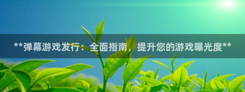 新航娱乐账号注册和账号详情：**弹幕游戏发行：全面指南，提升您的游戏曝光度**
