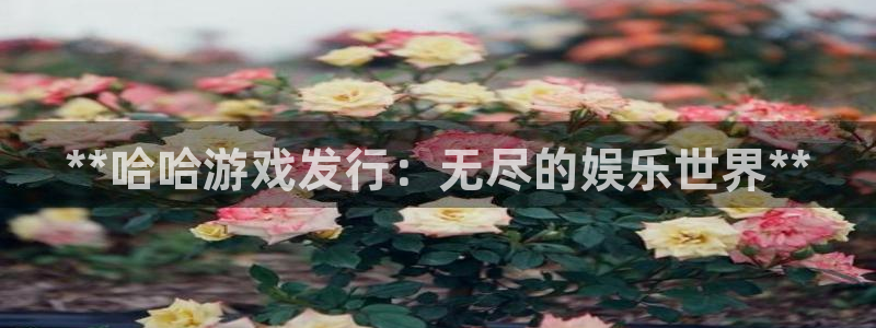 新航娱乐公司扣费流程详解表格：**哈哈游戏发行：无尽的娱乐世界**
