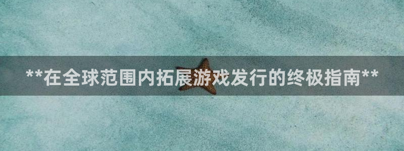 新航娱乐的员工工资福利及待遇：**在全球范围内拓展游戏发行的终极指南**