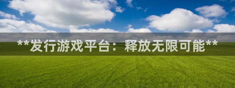 新航娱乐公司简介和历史背景分析：**发行游戏平台：释放无限可能**