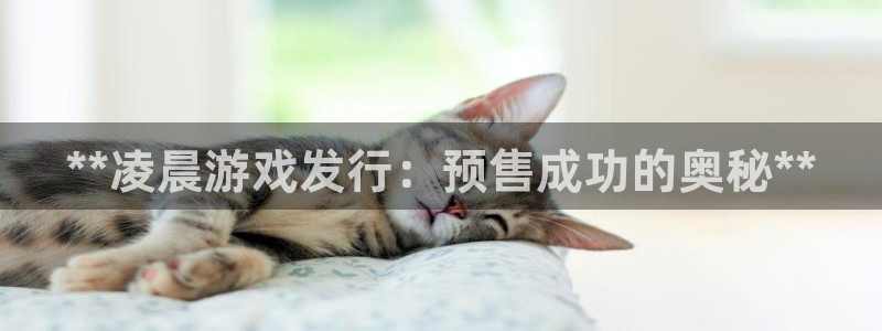新航娱乐安卓版下载