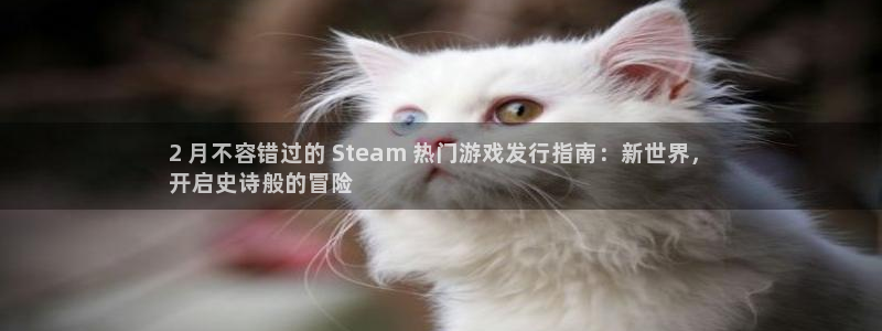 新航娱乐皮皮虾