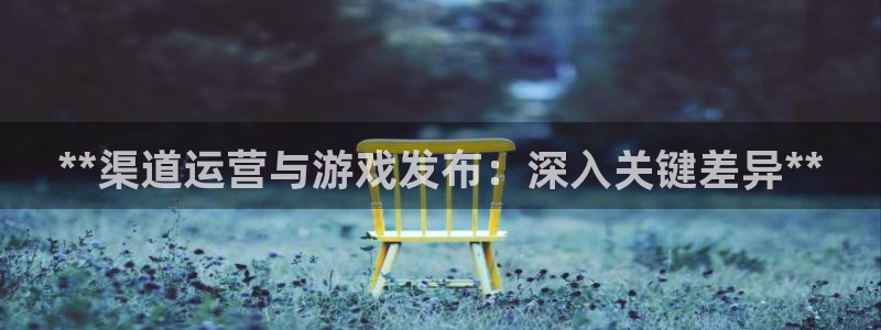 新航娱乐公司扣费流程详解视频下载
