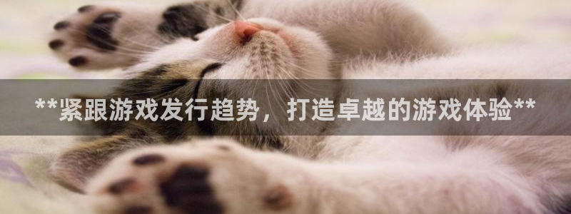 新航娱乐app手机版官网下载：**紧跟游戏发行趋势，打造卓越的游戏体验**