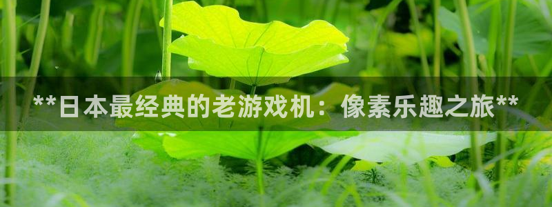 新航娱乐公司扣费流程详解视频：**日本最经典的老游戏机：像素乐趣之旅**