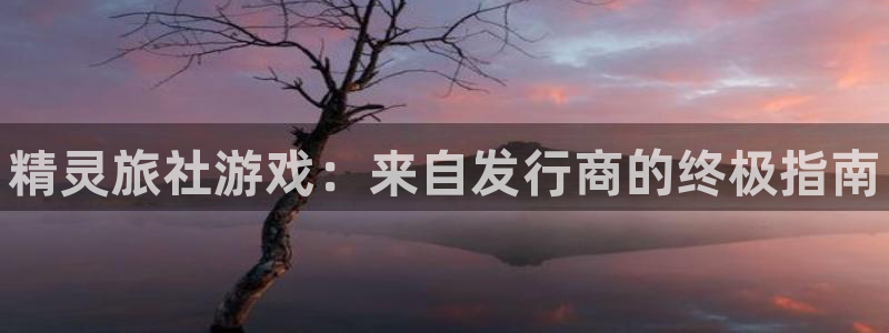 新航娱乐公司扣费流程详解