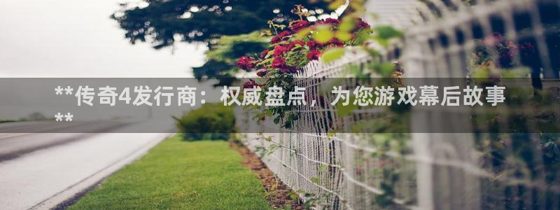 新航娱乐扣款是怎么回事：**传奇4发行商：权威盘点，为您游戏幕后故事
**