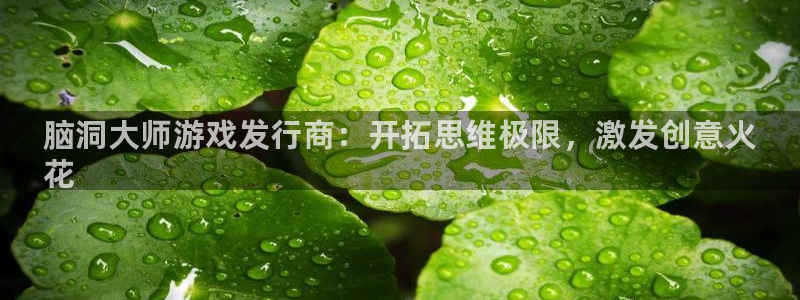 新航娱乐集团最新消息：脑洞大师游戏发行商：开拓思维极限，激发创意火
花