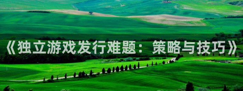 新航娱乐扣款后还能重新扣：《独立游戏发行难题：策略与技巧》
