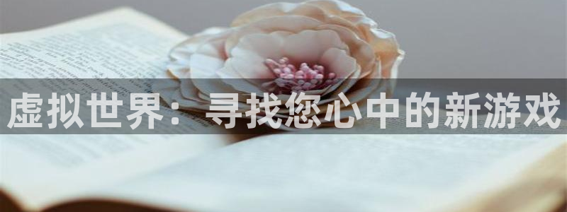 新航娱乐背后的老板是谁：虚拟世界：寻找您心中的新游戏