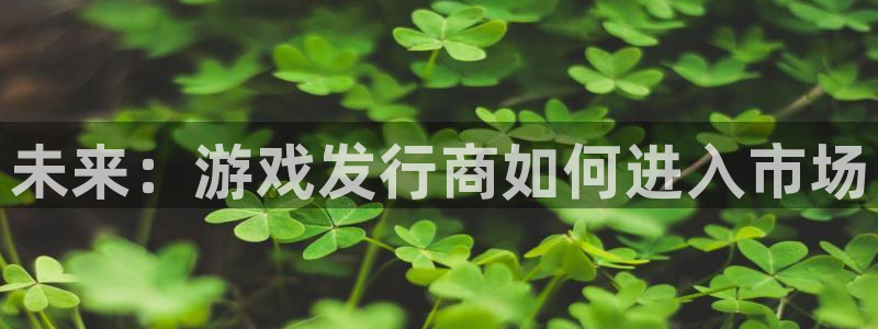 新航娱乐平台最新版本更新内容：未来：游戏发行商如何进入市场