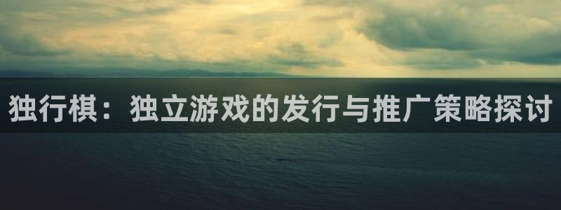 新航娱乐的创始人背景是什么：独行棋：独立游戏的发行与推广策略探讨