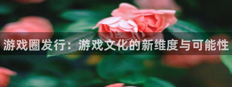 新航娱乐app手机版官网下载安装：游戏圈发行：游戏文化的新维度与可能性