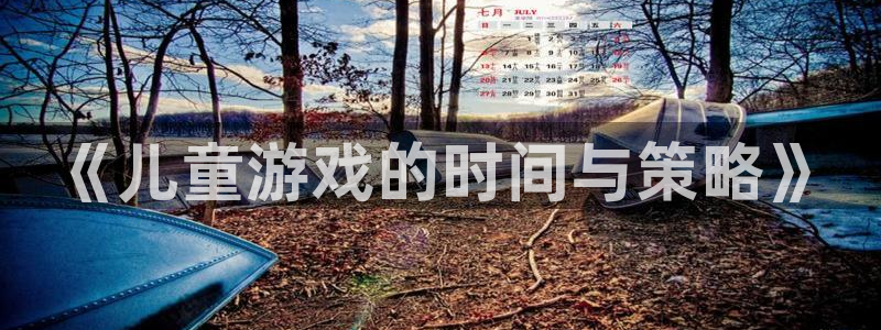 新航娱乐app手机版官网下载：《儿童游戏的时间与策略》