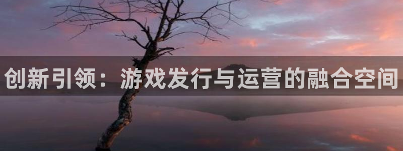 新航娱乐公司扣费流程详解图表