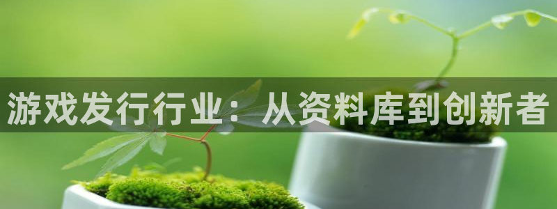 新航娱乐的员工工资福利及待遇如何